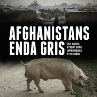 Afghanistans enda gris : och andra vykort från imperiernas kyrkogård - Ivar Andersen