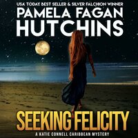Seeking Felicity (A Katie Connell Texas-to-Caribbean Mystery): A What Doesn't Kill You Romantic Mystery - Pamela Fagan Hutchins