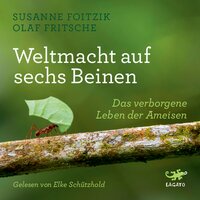 Weltmacht auf sechs Beinen: Das verborgene Leben der Ameisen - Susanne Foitzik, Olaf Fritsche