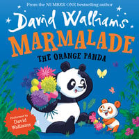 Marmalade: The Orange Panda - David Walliams