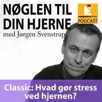 Classic: Hvad gør stress ved hjernen?
