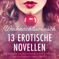 Weihnachtswunsch - 13 erotische Novellen - Malin Edholm, Katja Slonawski, Irse Kræmer, Andrea Hansen, Camille Bech