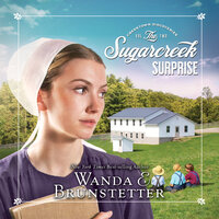 Sugarcreek Surprise - Wanda E. Brunstetter