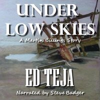 Under Low Skies: A Caribbean Thriller - Ed Teja