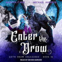 Enter the Drow - Michael Anderle, Martha Carr