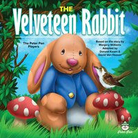 The Velveteen Rabbit - Margery Williams, Donald Kasen, David VanHooser