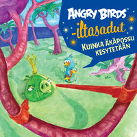 Angry Birds: Kuinka äkäpossu kesytetään - Janne Toriseva
