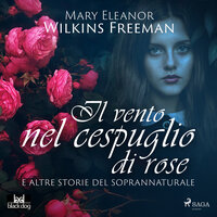 Il vento nel cespuglio di rose e altre storie del soprannaturale - Mary E. Wilkins Freeman