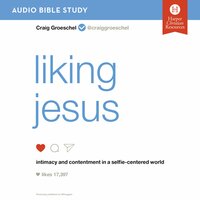 Liking Jesus: Audio Bible Studies: Intimacy and Contentment in a Selfie-Centered World - Craig Groeschel