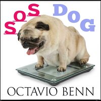 SOS Dog - OctavIo Benn