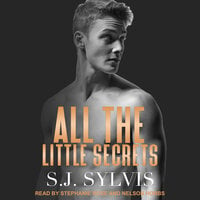 All the Little Secrets - S.J. Sylvis
