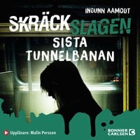 Sista tunnelbanan - Ingunn Aamodt
