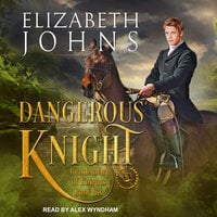 Dangerous Knight - Elizabeth Johns
