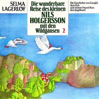Nils Holgersson: Die wunderbare Reise des kleinen Nils Holgersson mit den Wildgänsen - Selma Lagerlöf, Peter Folken