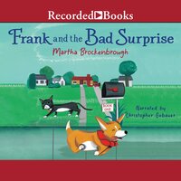 Frank and the Bad Surprise - Martha Brockenbrough