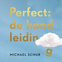 Perfect: de handleiding - Michael Schur