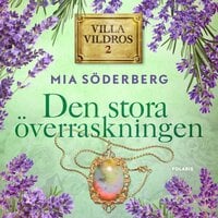 Den stora överraskningen - Mia Söderberg