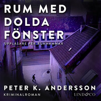 Rum med dolda fönster - Peter K. Andersson