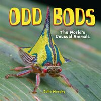Odd Bods: The World's Unusual Animals - Julie Murphy