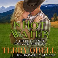 In Hot Water: A Contemporary Western Romantic Suspense - Terry Odell
