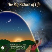 The Big Picture of Life - Mark Pitstick, Katta Mapes, Gary E. Schwartz