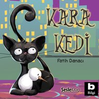 Kara Kedi - Fatih Danacı