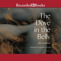 The Dove in the Belly - Jim Grimsley