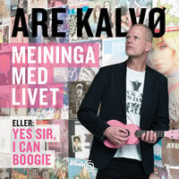 Meininga med livet - Eller, Yes, sir, I can boogie - Are Kalvø