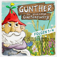 Gunther, der grummelige Gartenzwerg: Folge 1-4 - Bona Schwab, Sebastian Schwab