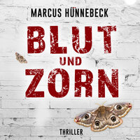 Blut und Zorn - Drosten und Sommer, Band 3 (ungekürzt): Drosten & Sommer - Marcus Hünnebeck