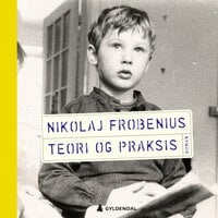 Teori og praksis - Nikolaj Frobenius