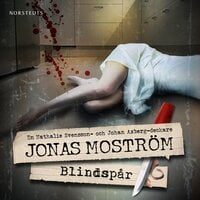 Blindspår - Jonas Moström