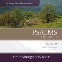 Psalms: An Expositional Commentary, Vol. 1: Psalms 1–41 - James Montgomery Boice