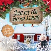 Juleljus för vilsna själar - Siri Gustafsson