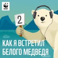 Анна Трофимова: "Арктика - реально суровая женщина" - WWF Russia
