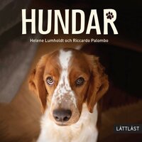 Hundar / Lättläst - Helene Lumholdt