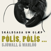 Pólís pólís - Maj Sjöwall, Per Wahlöö