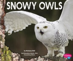 Snowy Owls - Melissa Hill