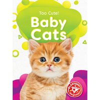 Baby Cats - Christina Leaf