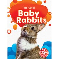 Baby Rabbits - Christina Leaf