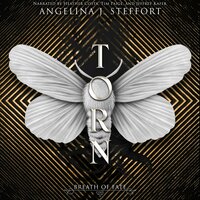 Torn - Angelina J. Steffort