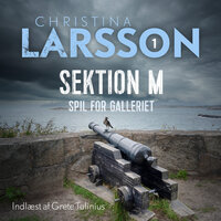 Sektion M I - Christina Larsson