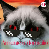U_CAT: AMANTE A DOMICILIO - Guillermo Félix