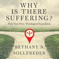 Why Is There Suffering?: Pick Your Own Theological Expedition - Bethany N. Sollereder