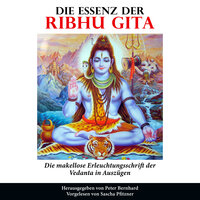 Die Essenz der Ribhu Gita: Die makellose Erleuchtungsschrift der Vedanta in Auszügen