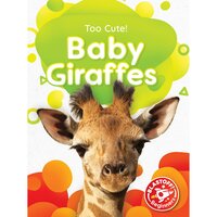 Baby Giraffes - Christina Leaf