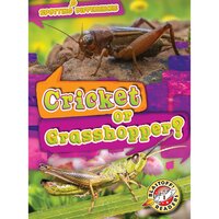 Cricket or Grasshopper? - Mari Schuh
