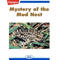 Mystery of the Mud Nest - Martha L. Crump, Ph.D.
