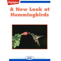 A New Look at Hummingbirds - Jack Myers, Ph.D.