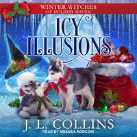 Icy Illusions - J.L. Collins